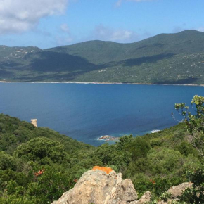 Villa en plein cœur du maquis et proche de la mer